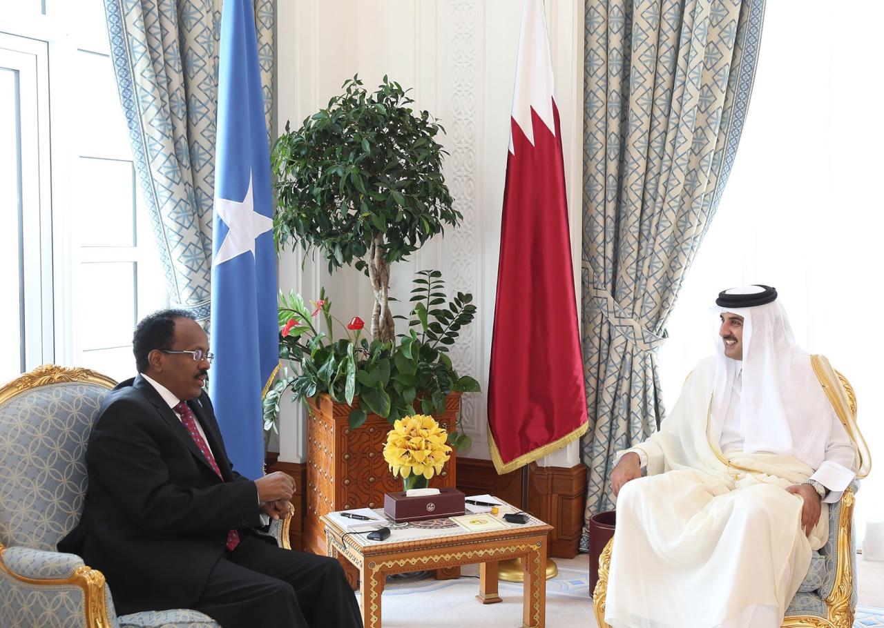 أمير قطر يبحث مع رئيس الصومال تعزيز العلاقات الثنائية