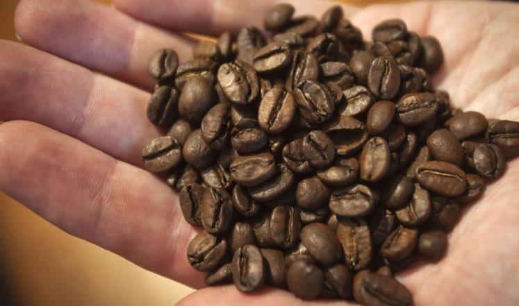 القهوة تقلل خطر الإصابة بالتصلب العصبي المتعدد