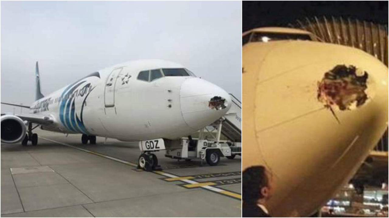"طائر" يهاجم طائرة ركاب مصرية في الجو ويحدث بها ثقباً