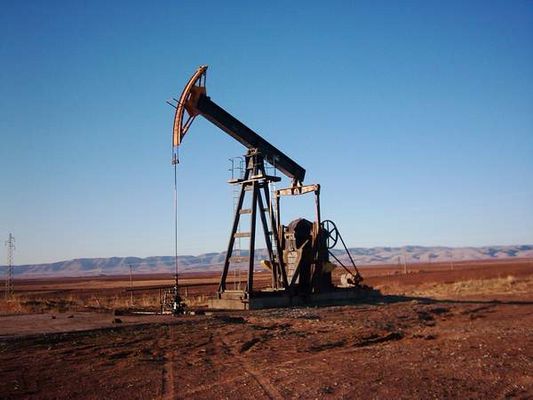 أسعار النفط تنتعش فوق 30 دولار تحت تأثير عمليات تغطية المدينين