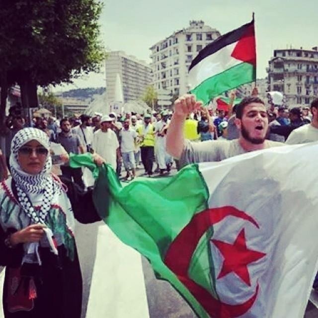 استياء واسع في الجزائر بسبب وصف السفير السعودي حماس بـ"الإرهابية"