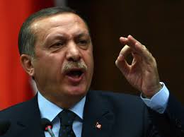أردوغان يدعو إيران إلى الانسحاب من اليمن وسوريا والعراق