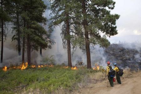 تدمير 200 منزل جرآء أكبر حريق للغابات بولاية واشنطن