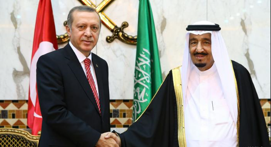 أردوغان يبحث مع الملك سلمان الأزمة السورية