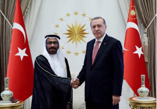 الرئيس التركي يستقبل السفير الإماراتي الجديد لدى أنقرة