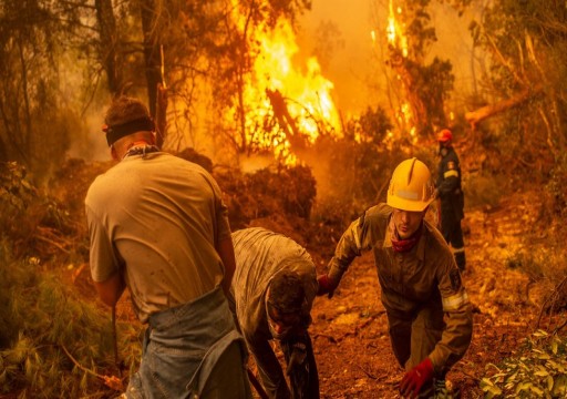 دراسة تكشف وجود علاقة بين حرائق الغابات ووفيات كورونا