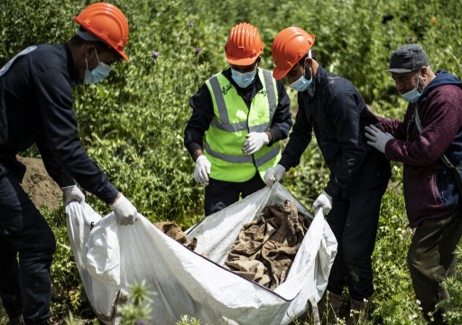 العثور على 200 جثة في مقبرة جماعية في الرقة السورية