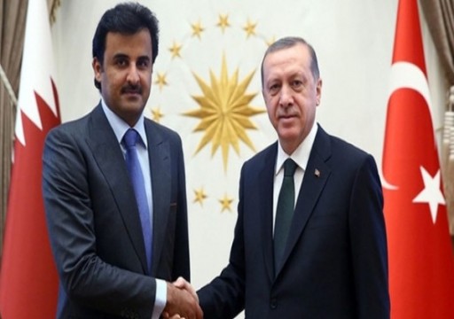 أمير قطر يبحث مع أردوغان تطورات الأحداث في سوريا