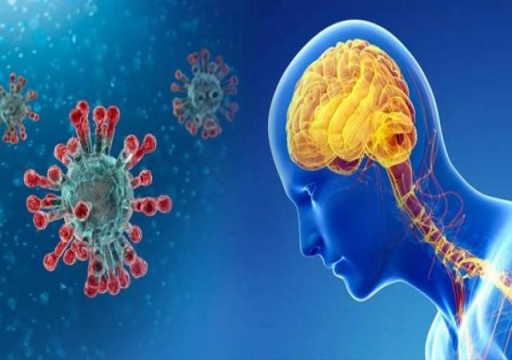 دراسة: فيروس كورونا قادر على التكاثر داخل الدماغ