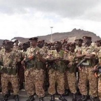 السودان.. حملة شعبية للمطالبة بالانسحاب من حرب اليمن