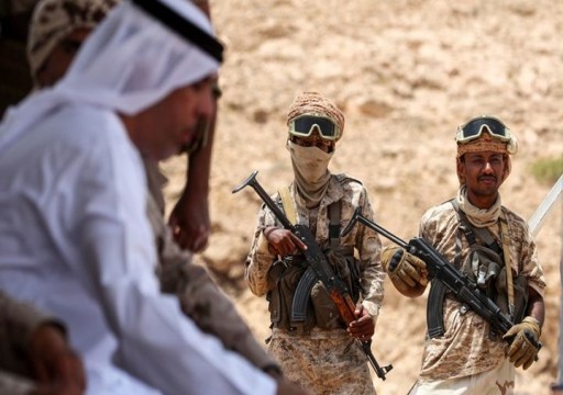 البيت الأبيض يربط وقف بيع مقاتلات للإمارات بإنهاء الحرب في اليمن