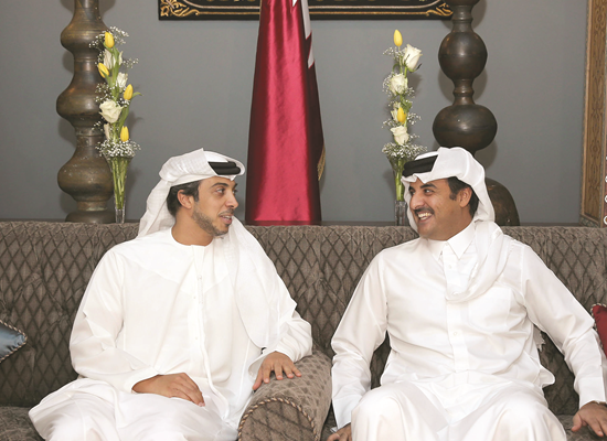 أمير قطر يستقبل منصور بن زايد ويبحثان القضايا المشتركة