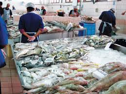رئيس صيادي أبوظبي: 70% زيادة في أسعار الأسماك خلال الصيف