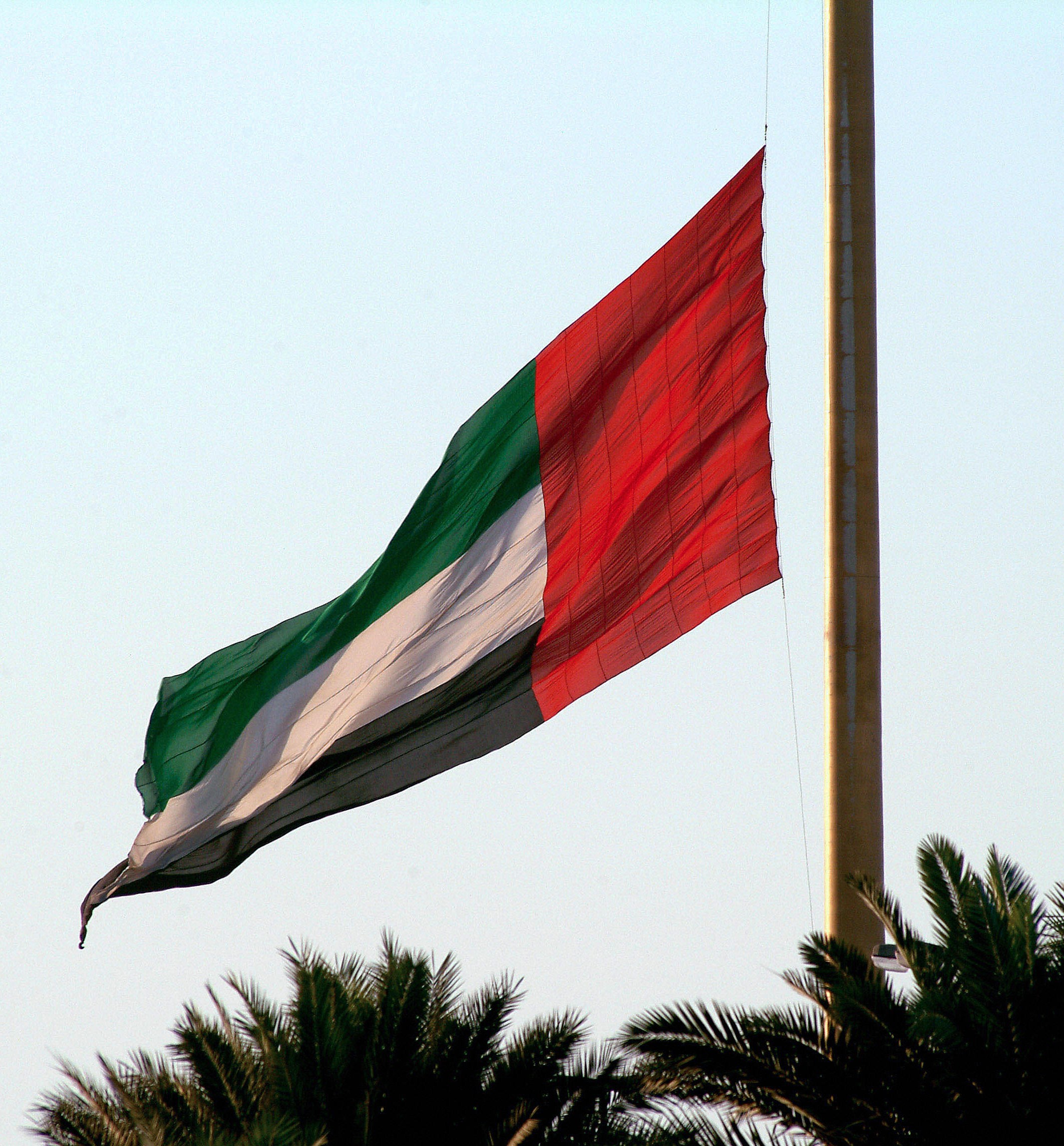 الإمارات تؤكد دعمها لمشروع حماية الأسرة أمام مجلس حقوق الإنسان