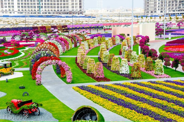 بلدية دبي تعلن تدشين أول حديقة صديقة للبيئة