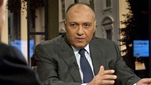 مصر: ندعم شرعية مجلس النواب المنتخب في ليبيا 