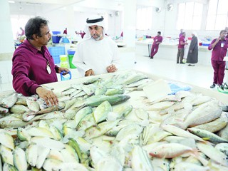 تراجع أسعار السمك في سوق رأس الخيمة 200%