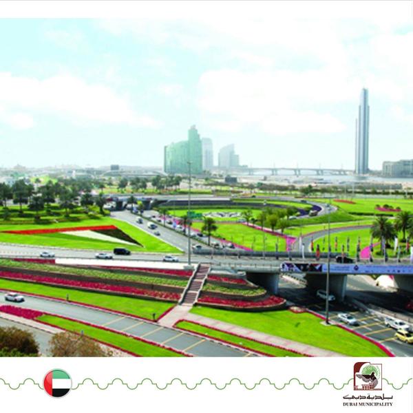 بلدية دبي تنجز 54 مشروعاً للبستنة و التشجير في النصف الأول من 2015