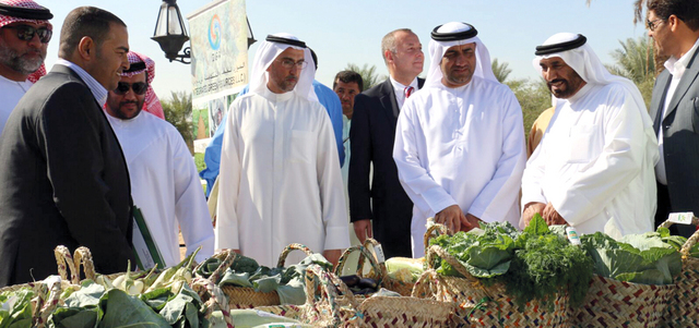 وزارة البيئة: الإمارات تنتج 60 محصولاً زراعياً سنوياً